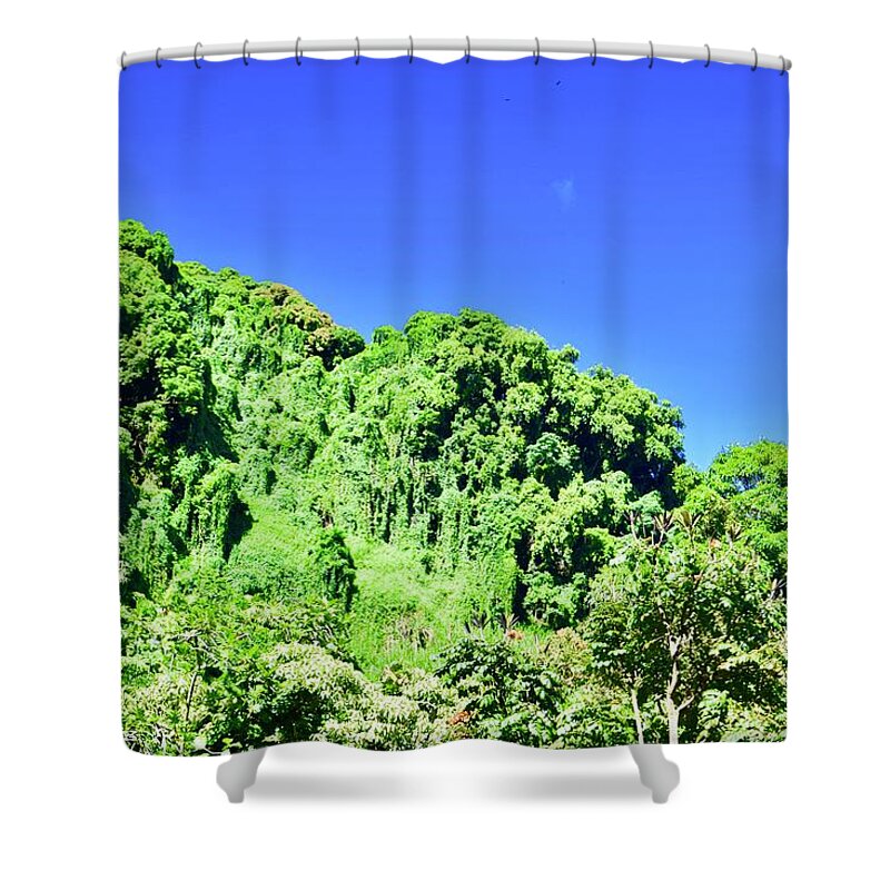 Aloha Shower Curtain featuring the photograph Waikamoi Ridge Bamboo Rain Forest, Hana by Bnte Creations