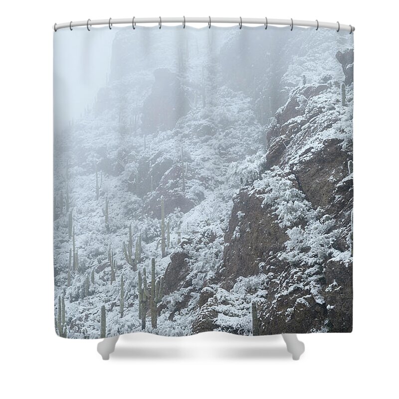 Landscape Shower Curtain featuring the photograph Alpine Cactus by James Covello
