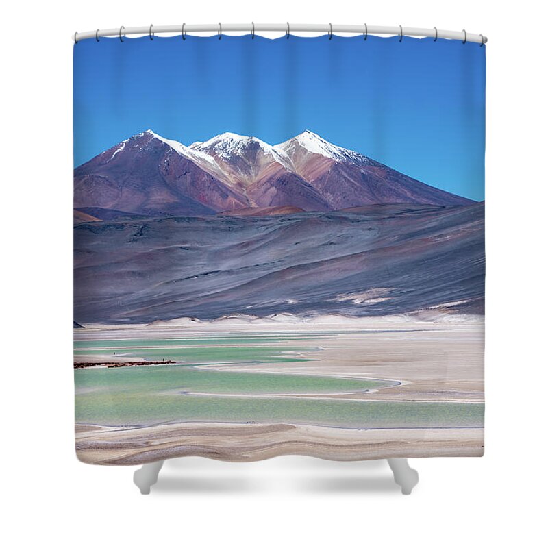 Atacama Shower Curtain featuring the photograph Altiplano View by Mark Hunter
