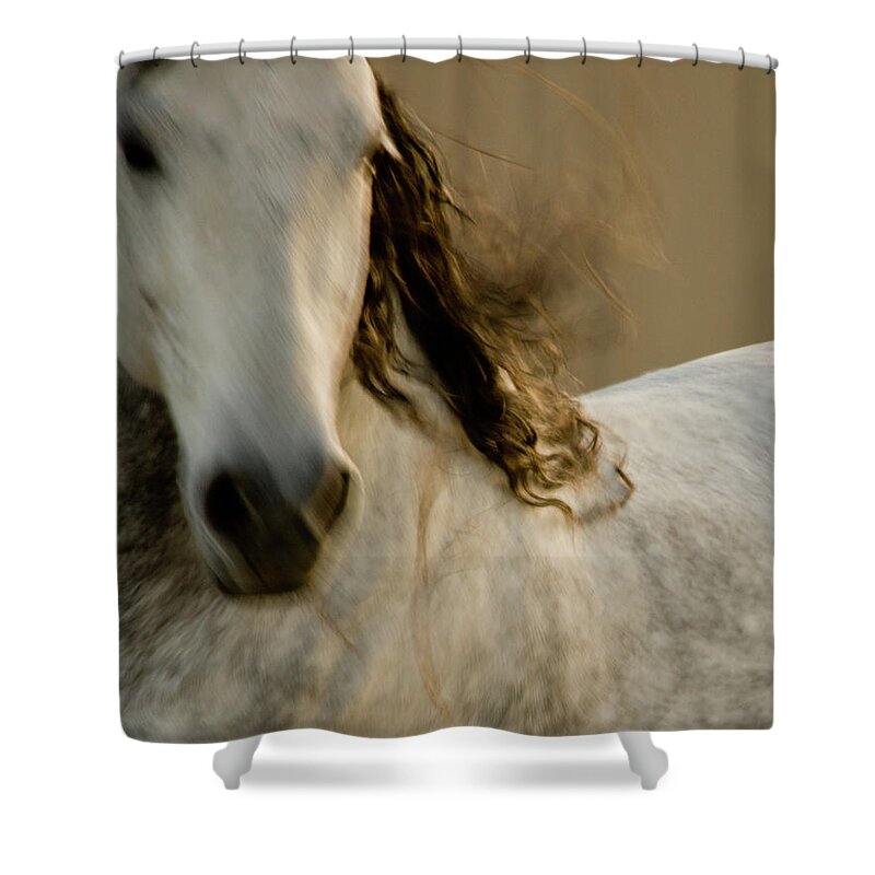 Andalusia Shower Curtain featuring the photograph Americano 1 by Catherine Sobredo