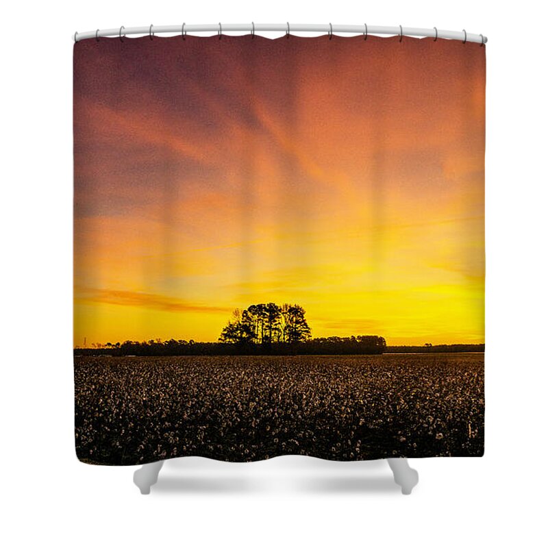 Amplitude Prints Shower Curtain featuring the photograph Amplitude by John Harding