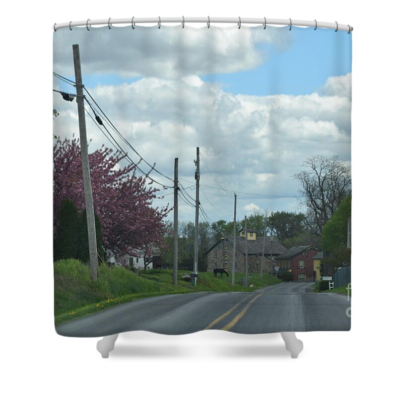Amish Shower Curtain featuring the photograph An Amish Spring Drive by Christine Clark