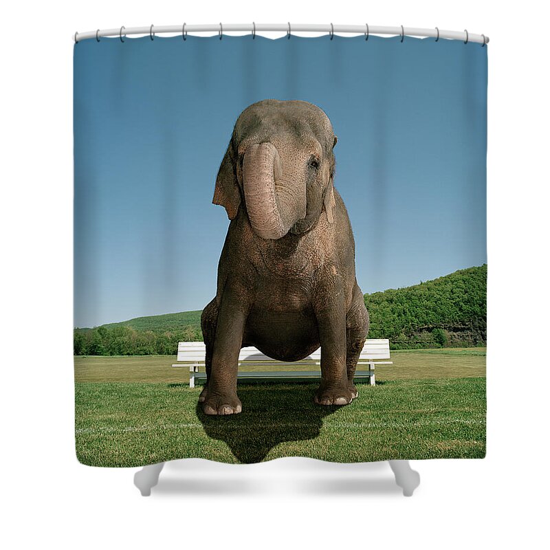Out Of Context Shower Curtain featuring the photograph An Elephant Sitting On A Park Bench by Matthias Clamer