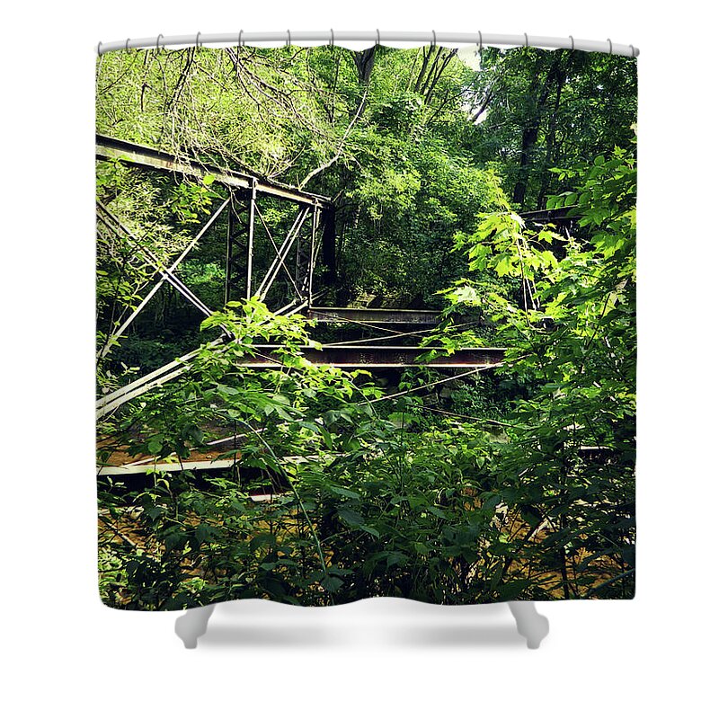 Ancient Entrance Shower Curtain featuring the photograph Ancient Entrance 2 by Cyryn Fyrcyd