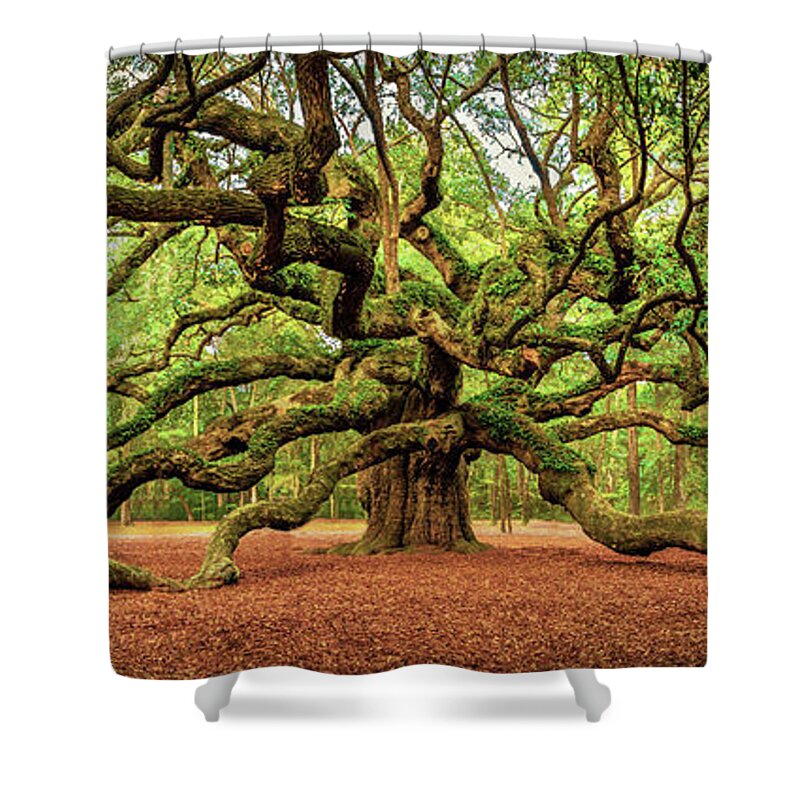 Angel Oak Shower Curtain featuring the photograph Angel Oak in Charleston by David Smith
