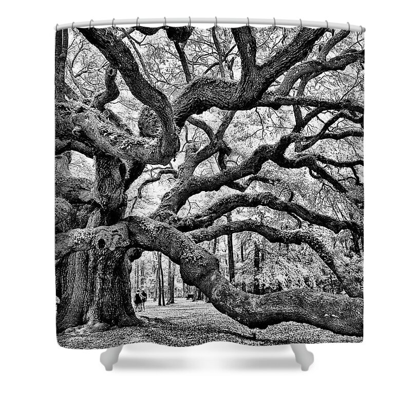 Charleston Shower Curtain featuring the photograph Angel Oak Tree by Louis Dallara