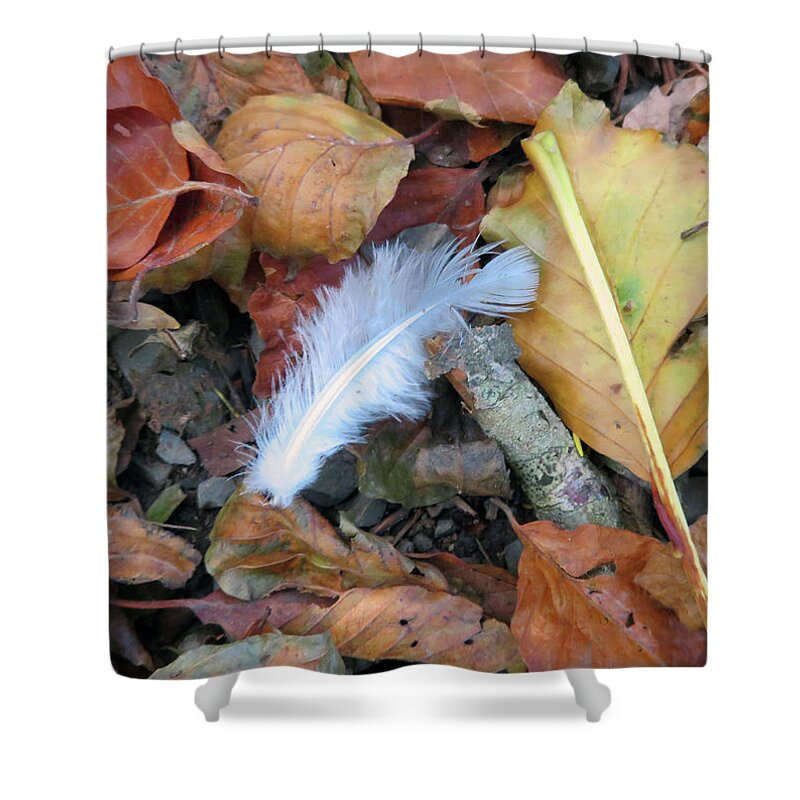 White Feather Shower Curtain featuring the photograph Angels Among Us by Vicky Edgerly