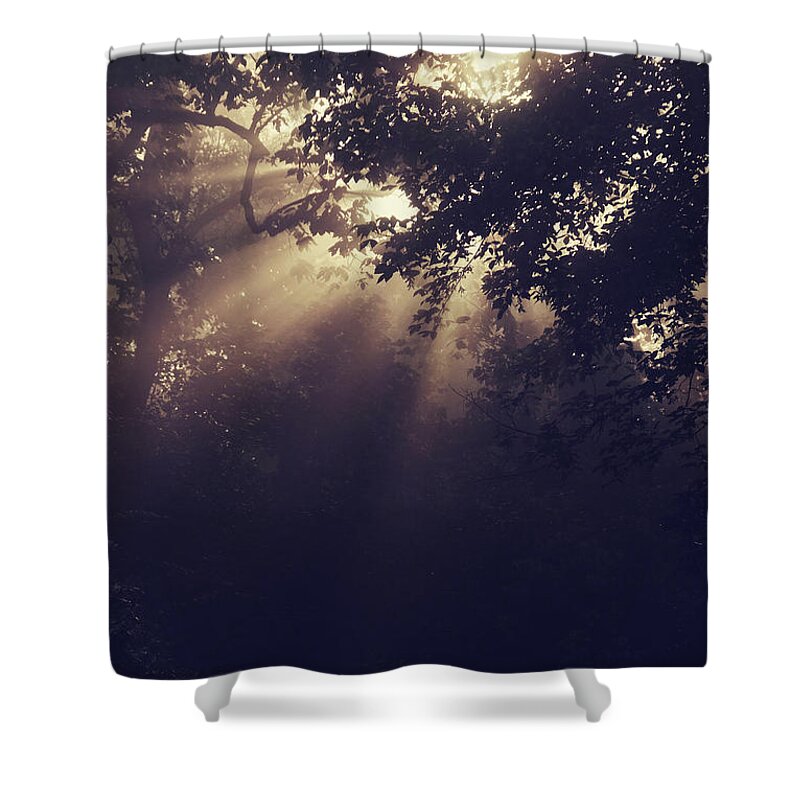 Sun Beams Shower Curtain featuring the photograph Angels Called Home by Michelle Wermuth