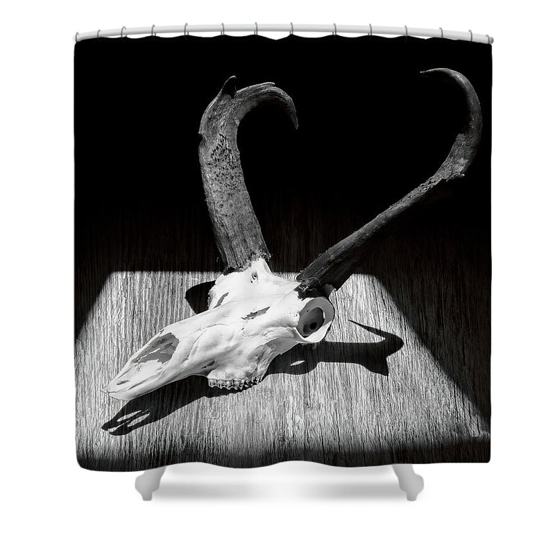 Kansas Shower Curtain featuring the photograph Antelope 003 by Rob Graham