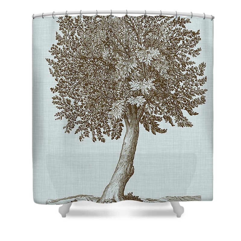 Botanical Shower Curtain featuring the painting Antique Tree In Sepia I by Vision Studio
