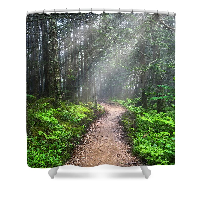 Appalachia Shower Curtain featuring the photograph Appalachian Trail by Mount LeConte by Debra and Dave Vanderlaan