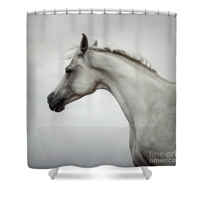 Horse Shower Curtain featuring the photograph Arabian Horse Portrait by Dimitar Hristov