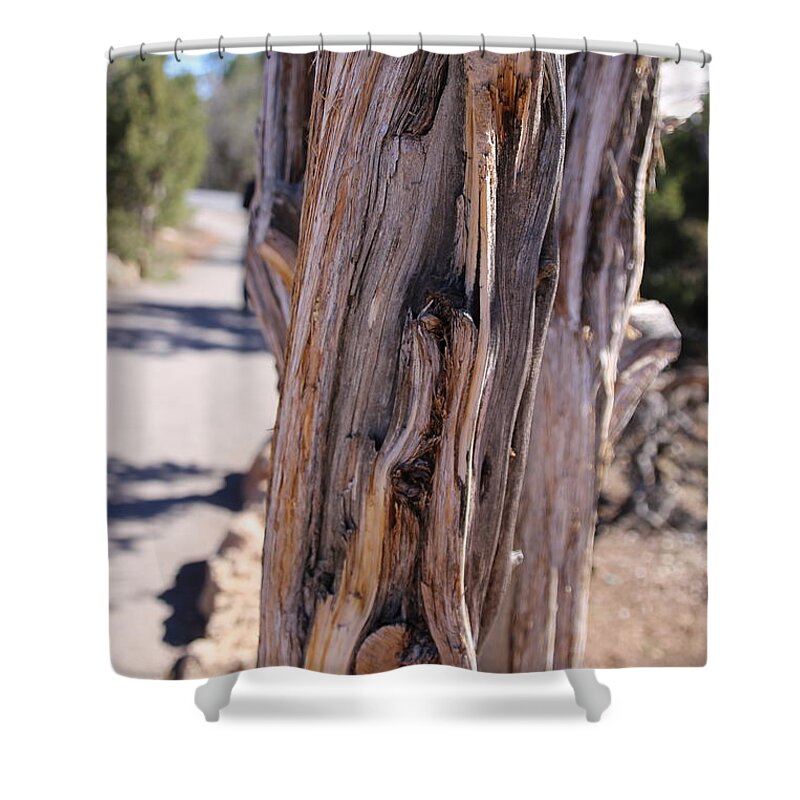 Dessert Shower Curtain featuring the photograph Arizona Desert Tree by Laura Smith