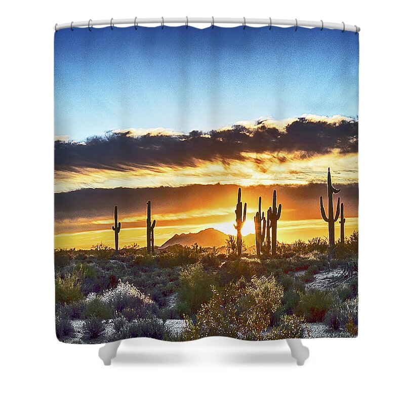 Arizona Shower Curtain featuring the photograph Arizona Sunrise And Saguaro by Don Schimmel