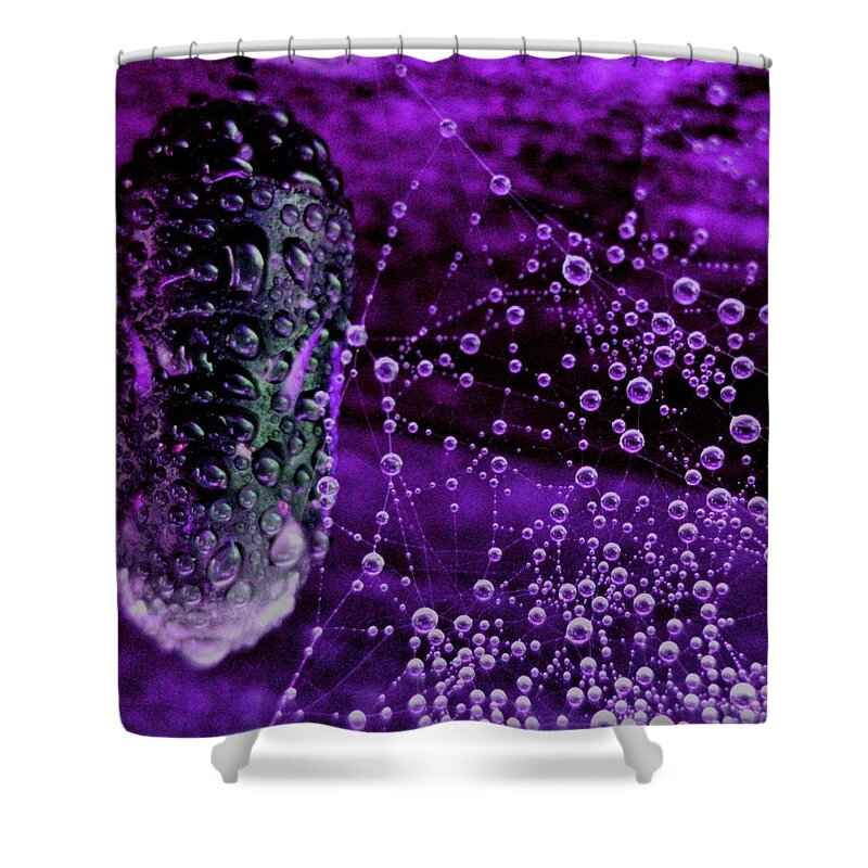 Uther Shower Curtain featuring the photograph Arnott Feazy 3 by Uther Pendraggin