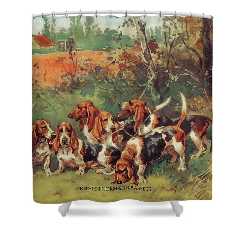 Dogs Shower Curtain featuring the painting Artesien Normand Bassets by Baron Karl Reille