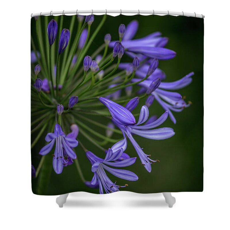 Flower Shower Curtain featuring the photograph Artistic Blooms by Aaron Burrows