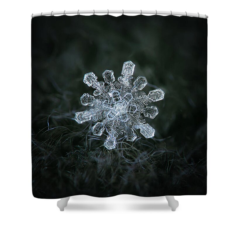 Snowflake Shower Curtain featuring the photograph Real snowflake - 04-Feb-2018 - 1 by Alexey Kljatov