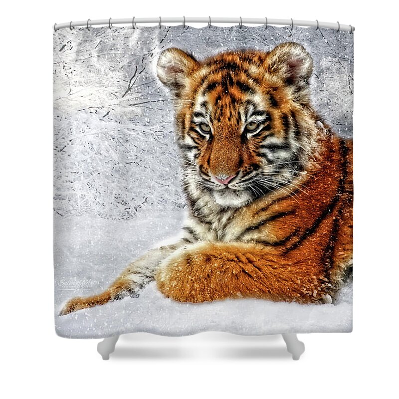 Tiger Shower Curtain featuring the digital art Tiger Cub in the Snow by Doreen Erhardt