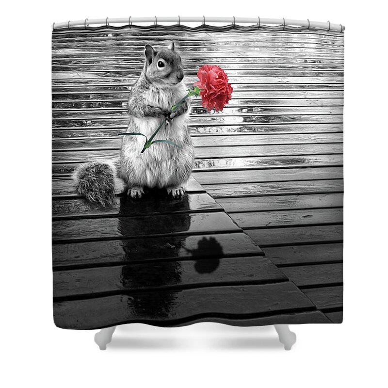 Love Shower Curtain featuring the digital art I Love You Squirrel with Carnation Black and White by Doreen Erhardt