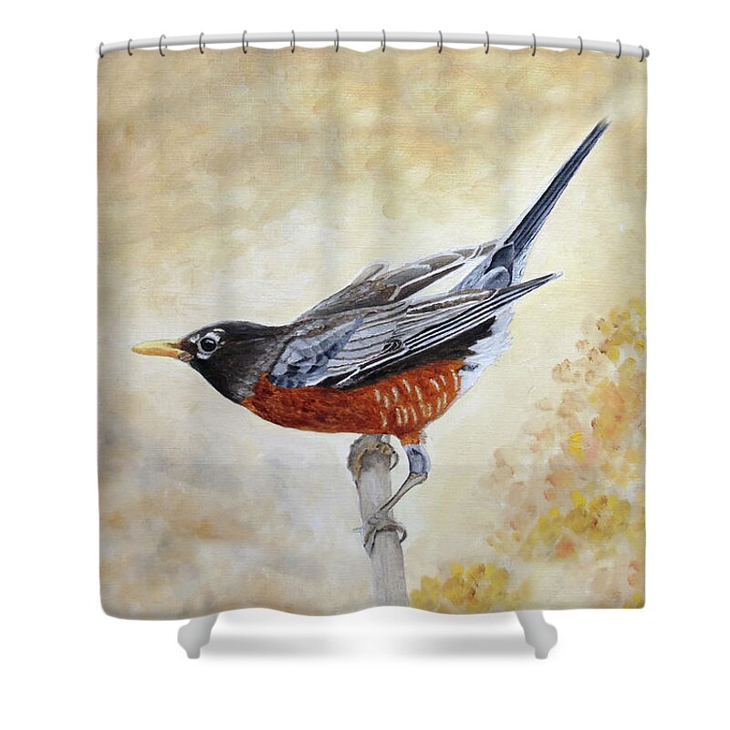 American Robin Shower Curtain featuring the painting Morning Stretch American Robin by Angeles M Pomata