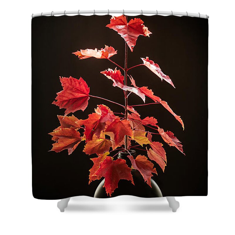 Still Life Shower Curtain featuring the photograph As Fall Descends by Maggie Terlecki