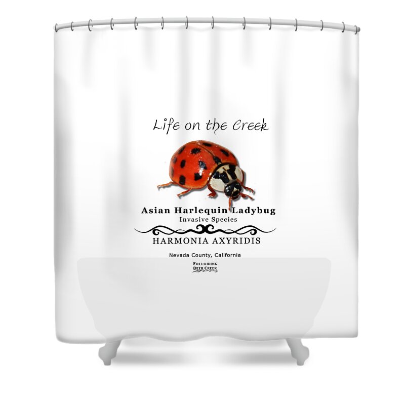 Ladybug Shower Curtain featuring the digital art Asian Harlequin Ladybug by Lisa Redfern