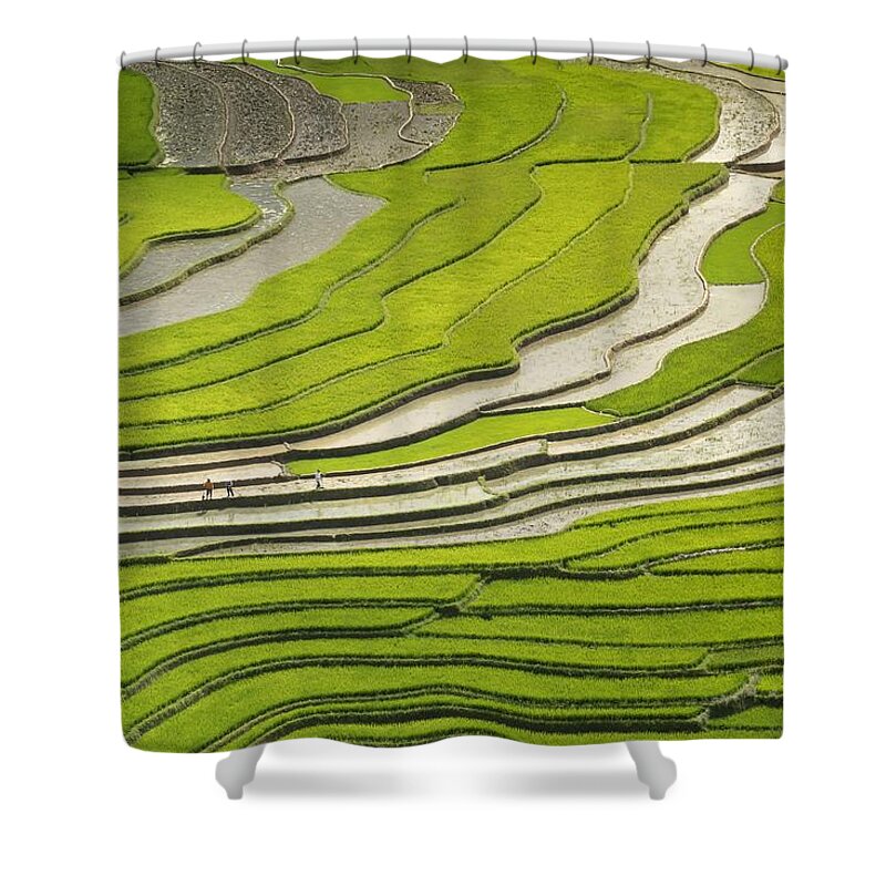 Landscape Shower Curtain featuring the photograph Asian rice field by Top Wallpapers