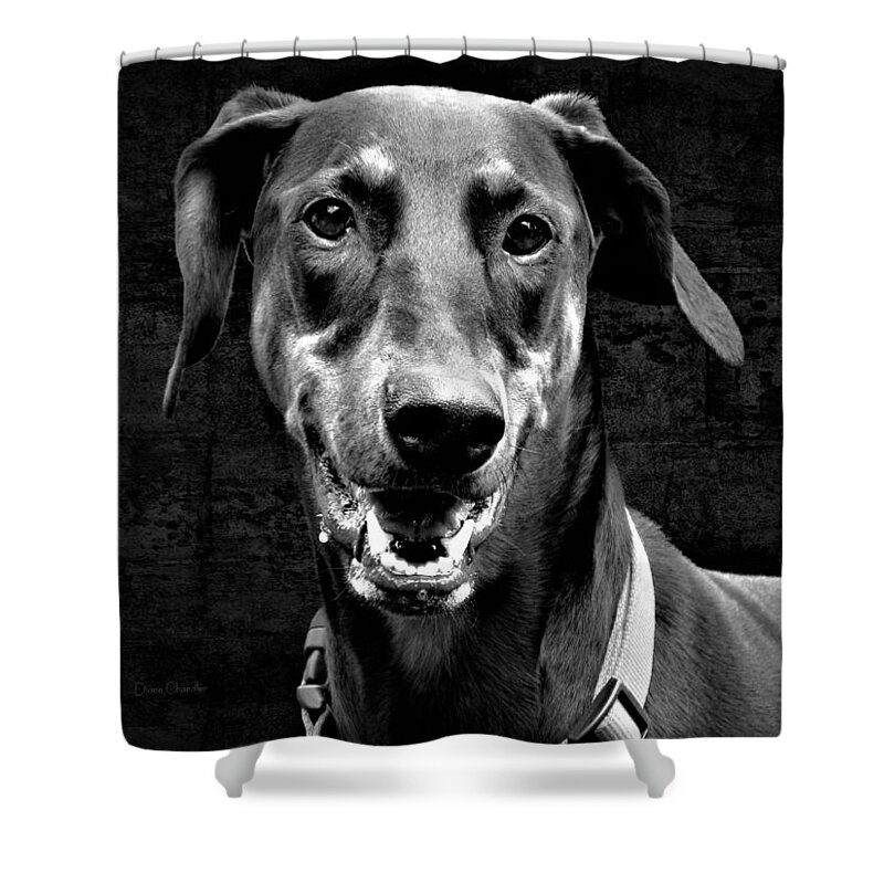 Dog Shower Curtain featuring the photograph Asti in Black by Diane Chandler