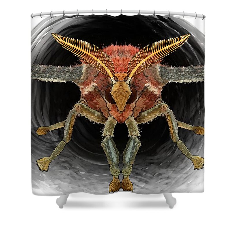 Atlas Moth Shower Curtain featuring the drawing Atlas Moth Front On by Joan Stratton