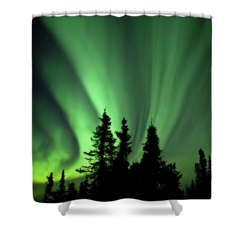 Scenics Shower Curtain featuring the photograph Aurora Borealis, Fairbanks, Alaska by Ron Crabtree