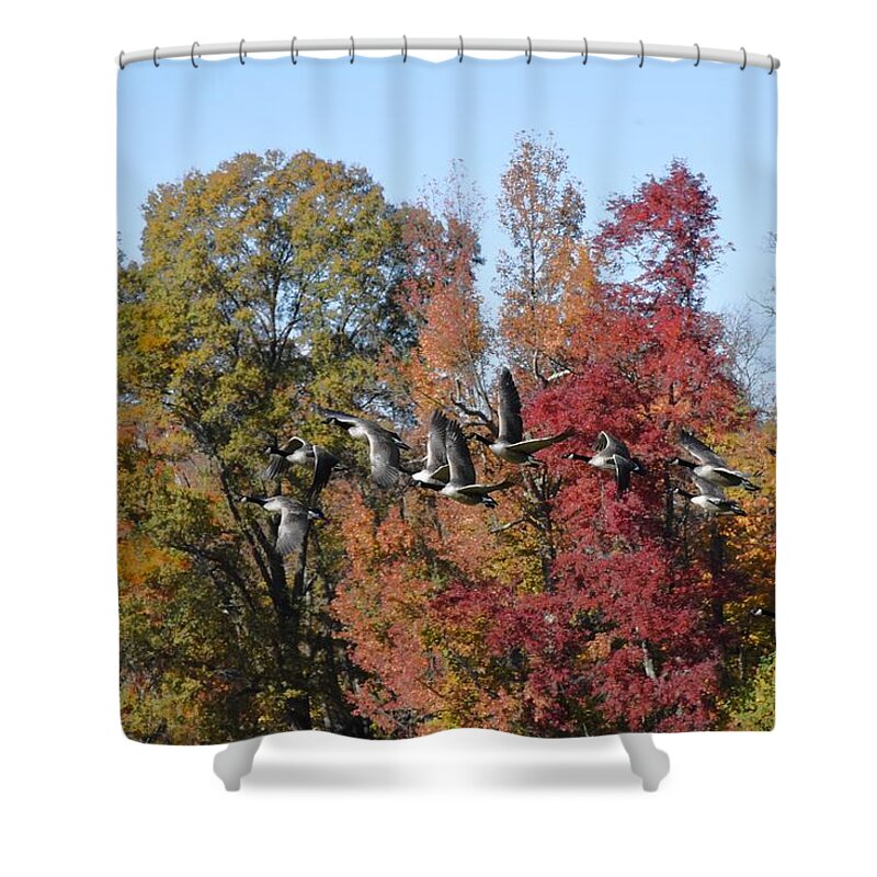 Autumn Foliage Art Shower Curtain featuring the photograph Autumn 109 by Joyce StJames
