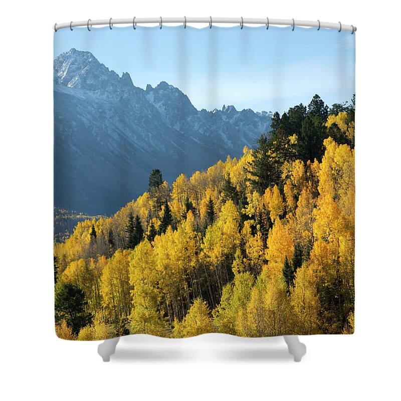 San Juan Mountains Shower Curtain featuring the photograph Autumn Aspen Leaves With Shadowed by Kokophoto