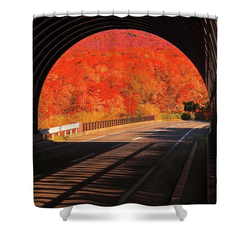 Tranquility Shower Curtain featuring the photograph Autumn Burns Red by Marco Ferrarin
