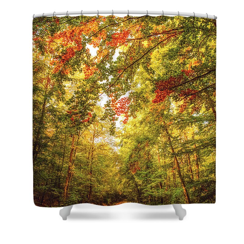 Autumn Shower Curtain featuring the photograph Autumn Colorful Path by Philippe Sainte-Laudy