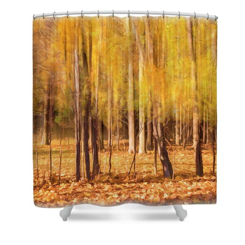 Trees Shower Curtain featuring the photograph Autumn Dreaming by Cathy Kovarik
