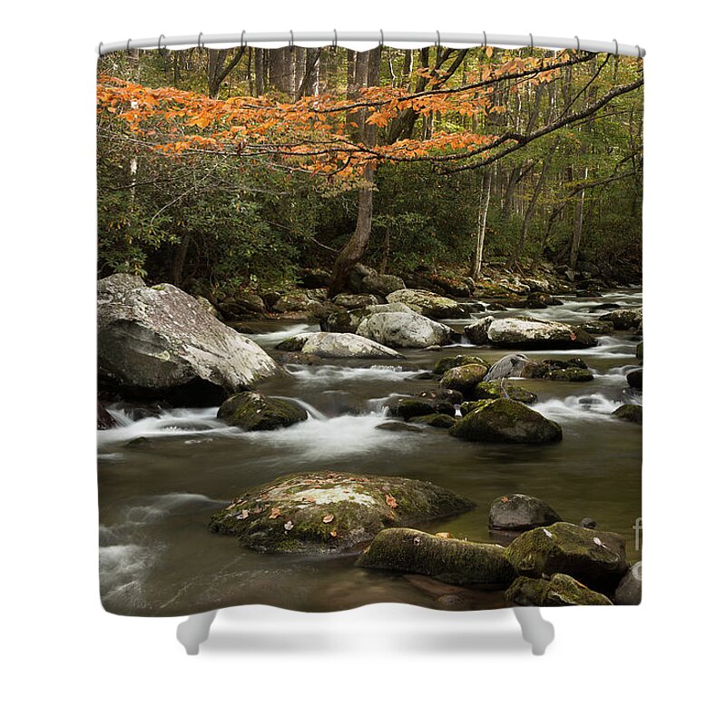 Tennessee Stream Shower Curtain featuring the photograph Autumn Flowing Through The Mountains by Mike Eingle