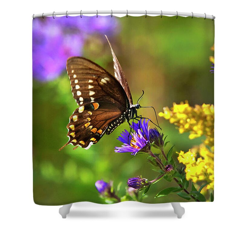 Butterfly Shower Curtain featuring the photograph Autumn Garden Butterfly by Christina Rollo