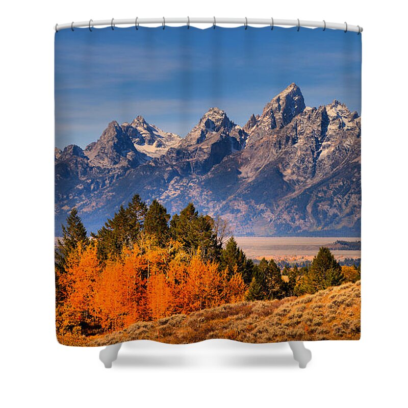 Grand Teton Shower Curtain featuring the photograph Autumn Gold In The Tetons by Adam Jewell