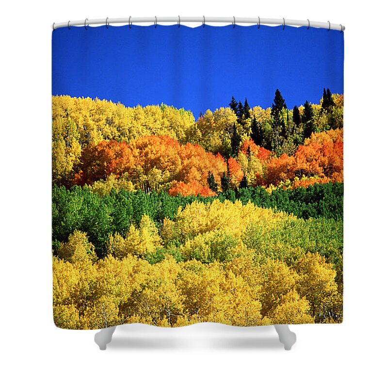 Scenics Shower Curtain featuring the photograph Autumn Landscape by Photo 24