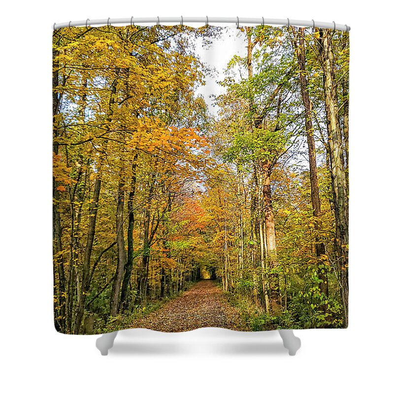 Autumn Leaves Shower Curtain featuring the photograph Autumn Leaves by Chris Spencer