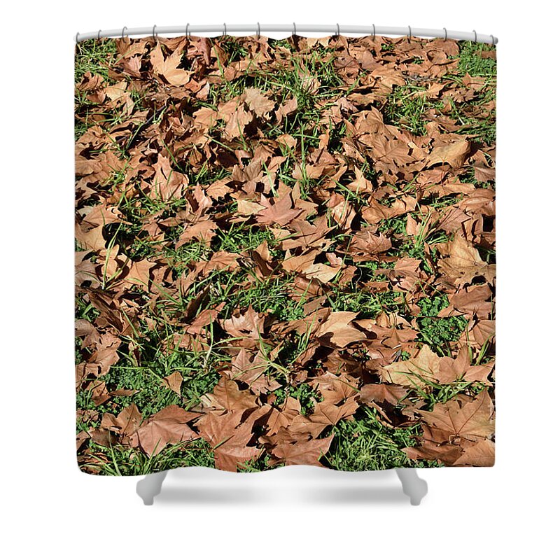 Autumn Shower Curtain featuring the photograph Autumn leaves on grass II by George Atsametakis
