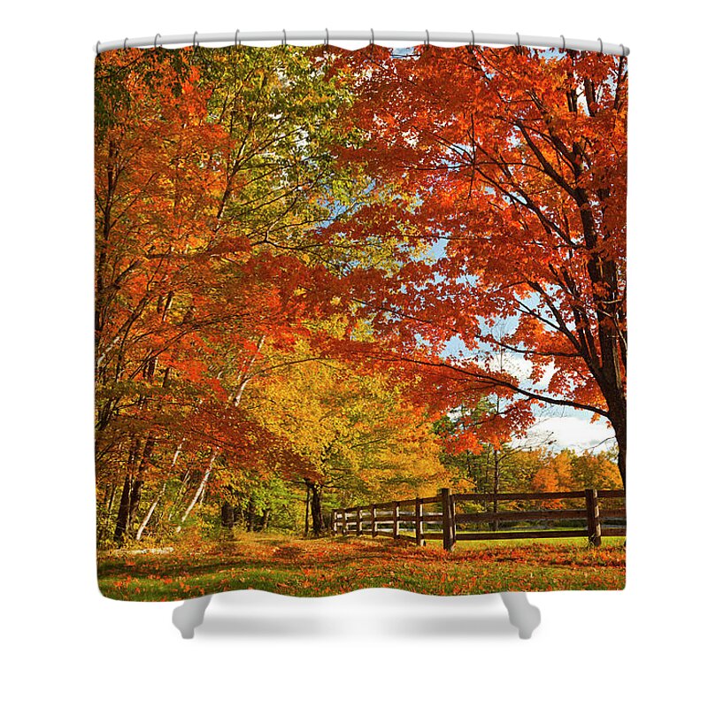 Estock Shower Curtain featuring the digital art Autumn Near Conway, New Hampshire by Claudia Uripos