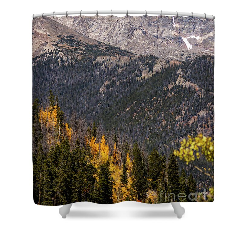 Trail Ridge Road Shower Curtain featuring the photograph Autumn on Trail Ridge Road by Steven Krull
