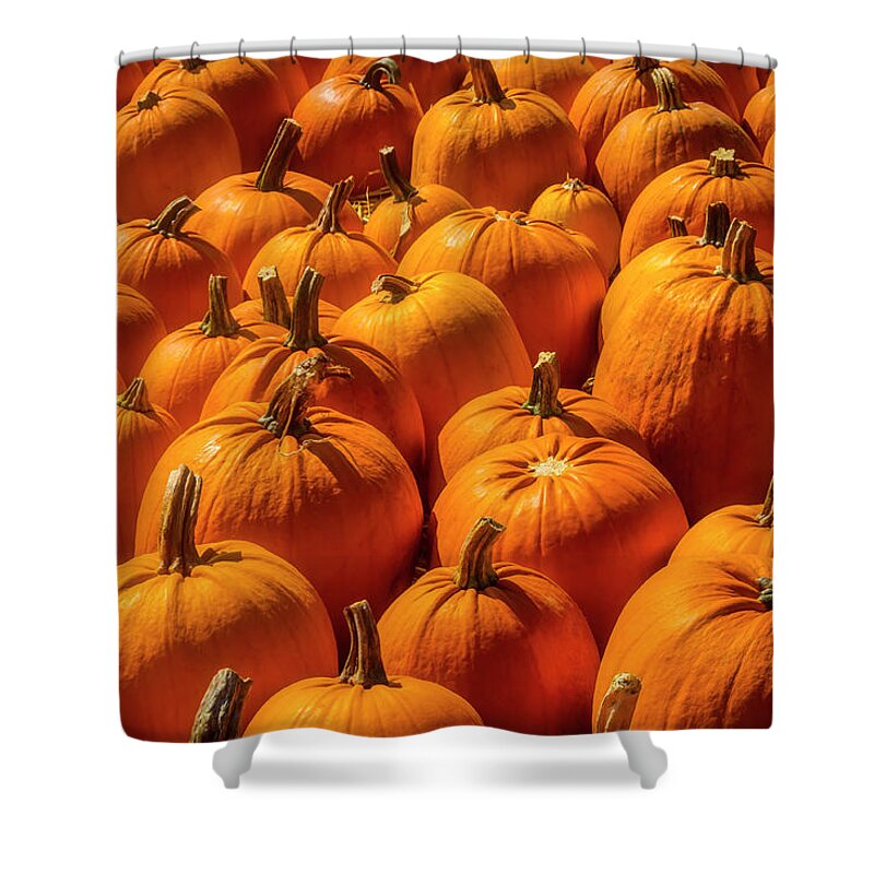 Pumpkins Shower Curtain featuring the photograph Autumn Pumpkin Field by Garry Gay