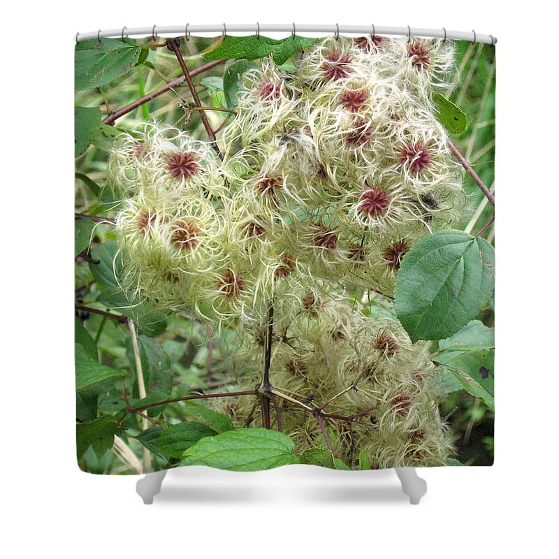 Autumn Shower Curtain featuring the photograph Autumn by Richard Stanford