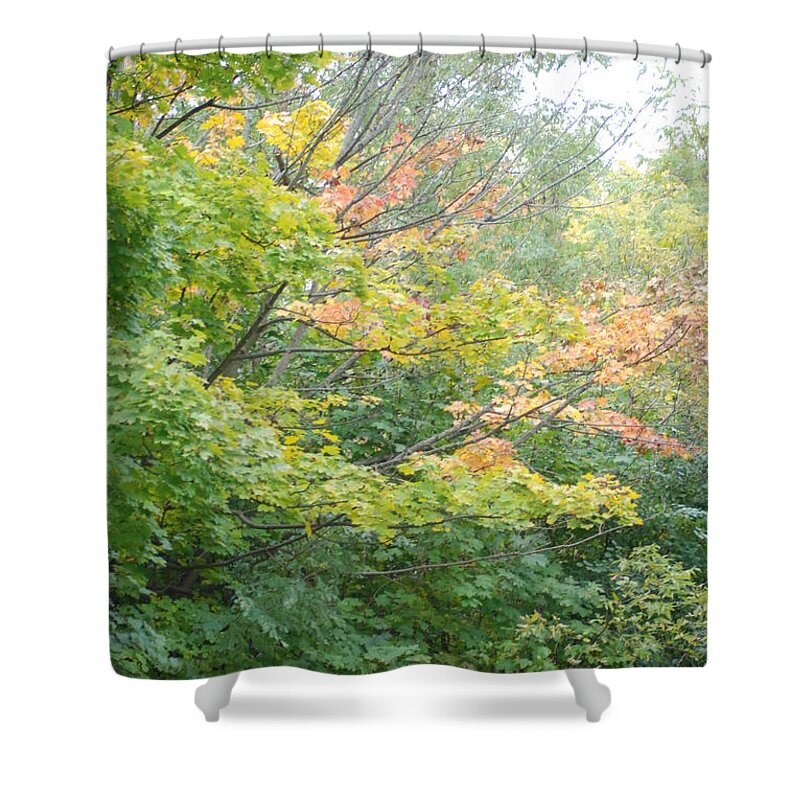  Shower Curtain featuring the photograph Autumn Transition 111 by Ee Photography
