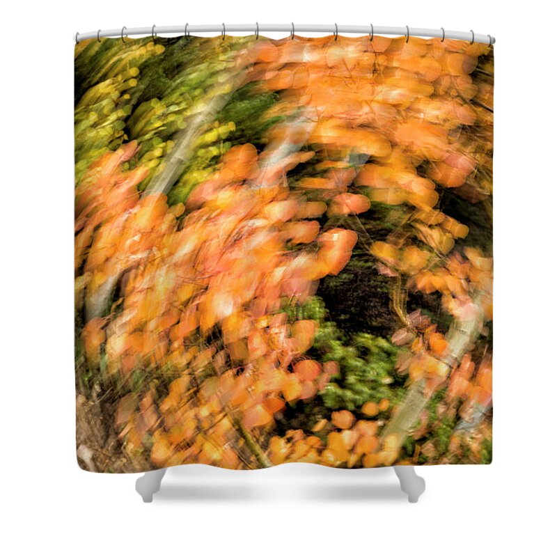 Abstract Shower Curtain featuring the photograph Autumn Vortex by Denise Bush