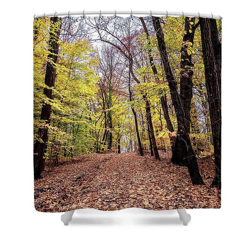 Fall Shower Curtain featuring the photograph Autumn Woods by Louis Dallara