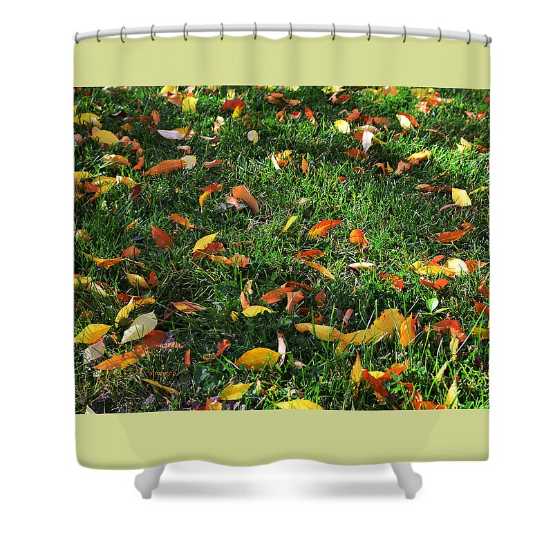 Grass Shower Curtain featuring the photograph Autumn's Confetti by Kae Cheatham